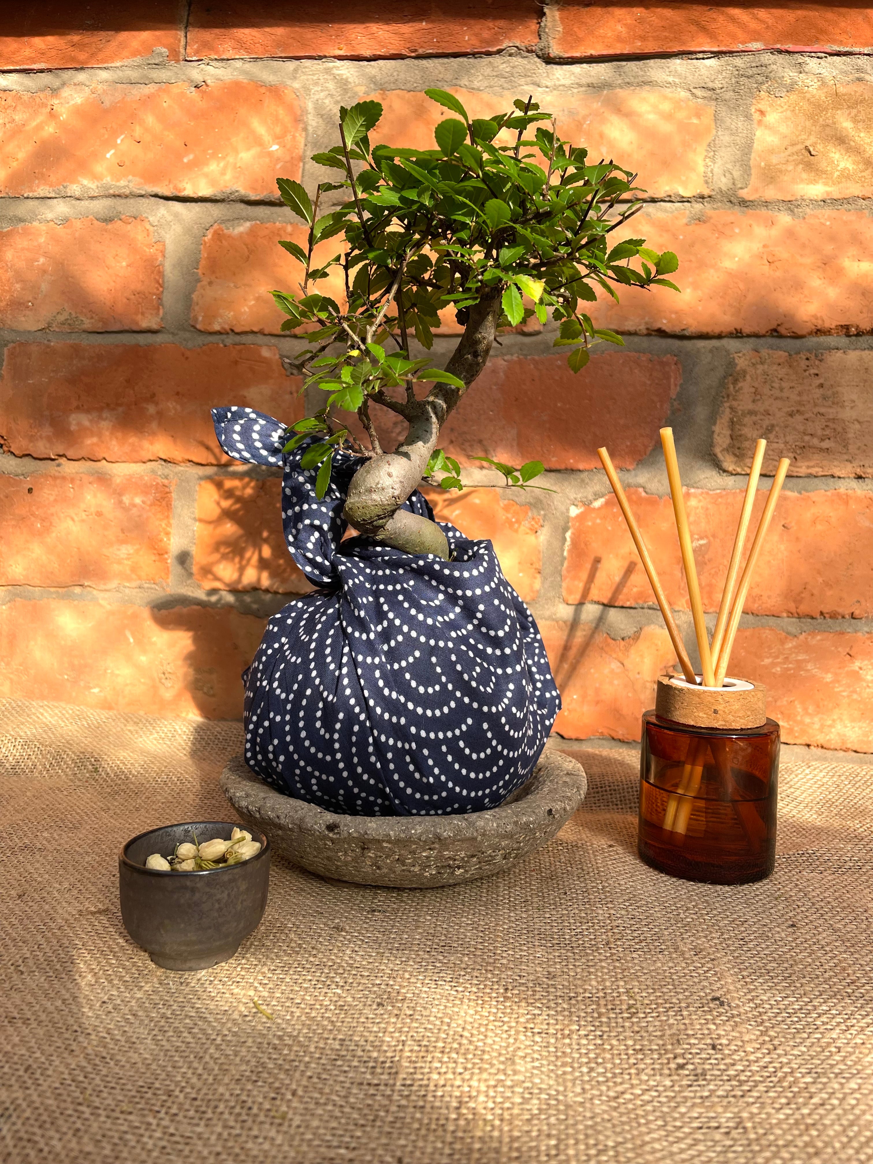 Kokedama Gift Wrap Cloth - Furoshiki