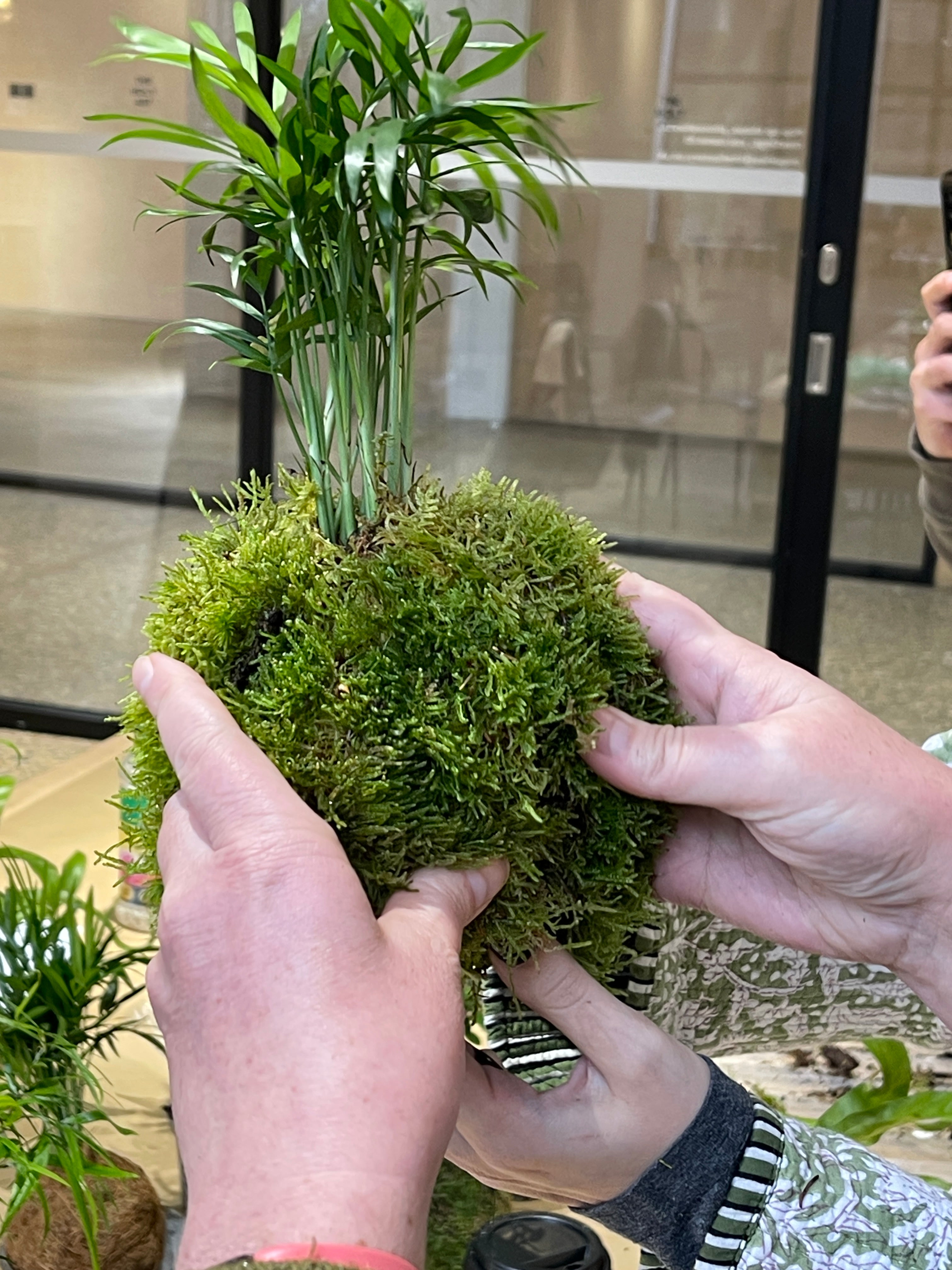 Kokedama Workshop at the Yokimono Japanese Market - 11th May