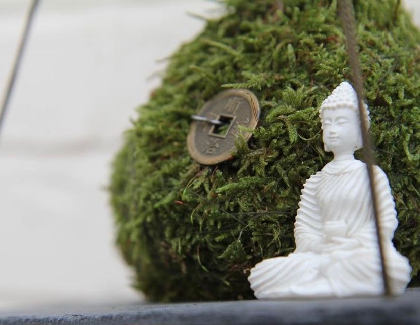 Bonsai Tree Japanese Bonsai Tree Kokedama Moss Ball Indoor Plant Health and Wellbeing tranquil Plants