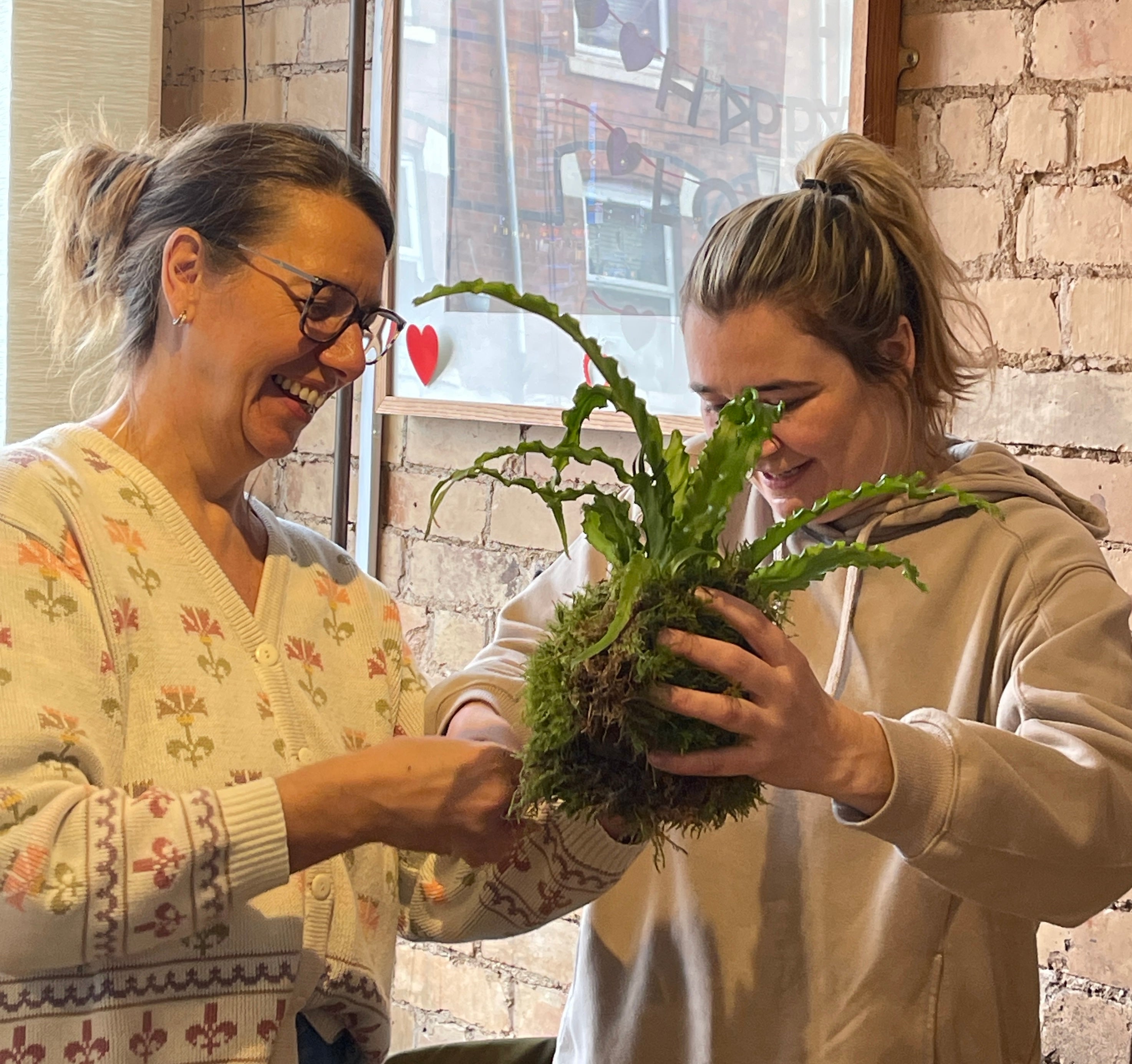 Kokedama Workshop at the Yokimono Japanese Market - 11th May