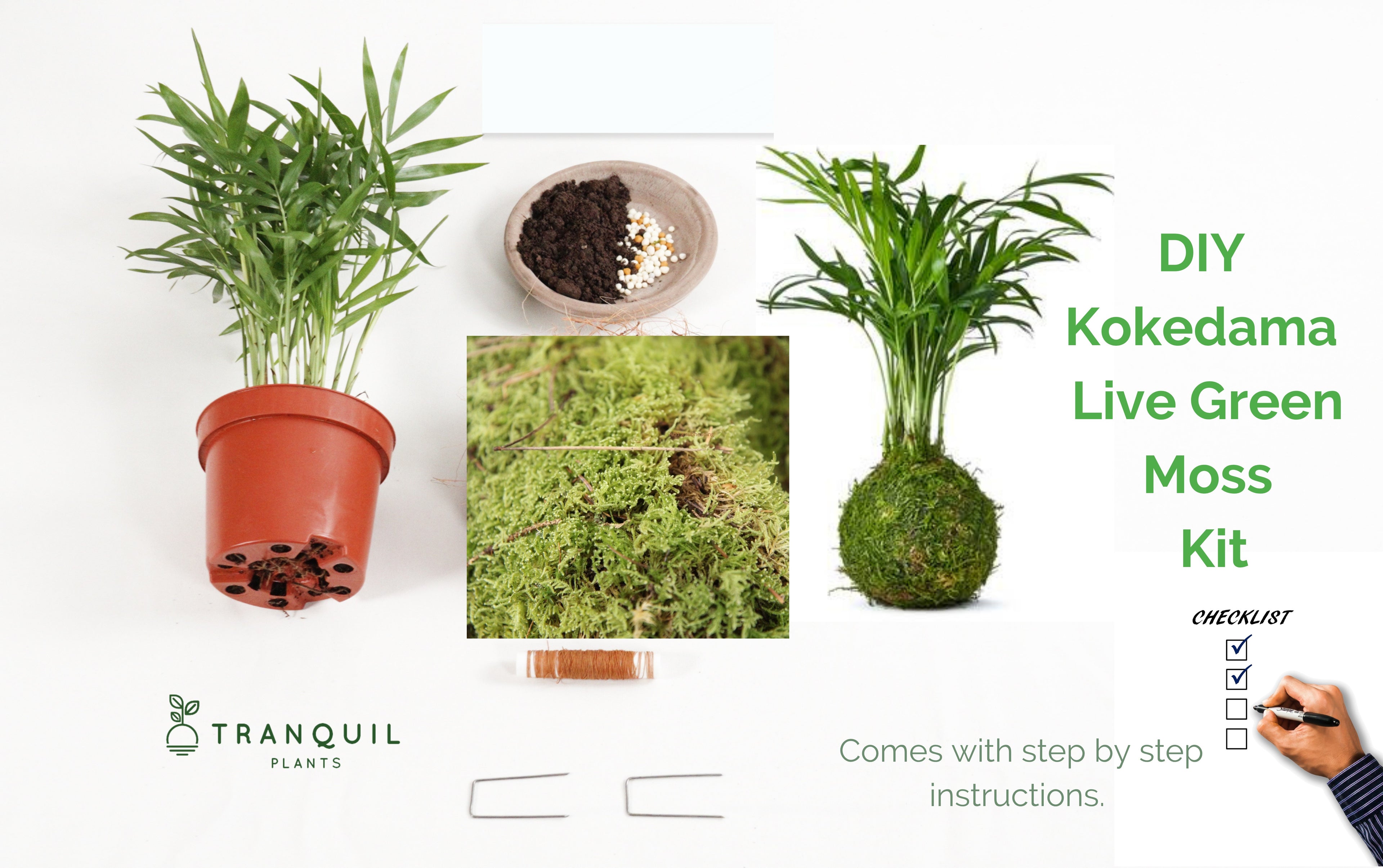 DIY Kokedama Kit | Live Moss & Coco-Fibre Wrap Kit