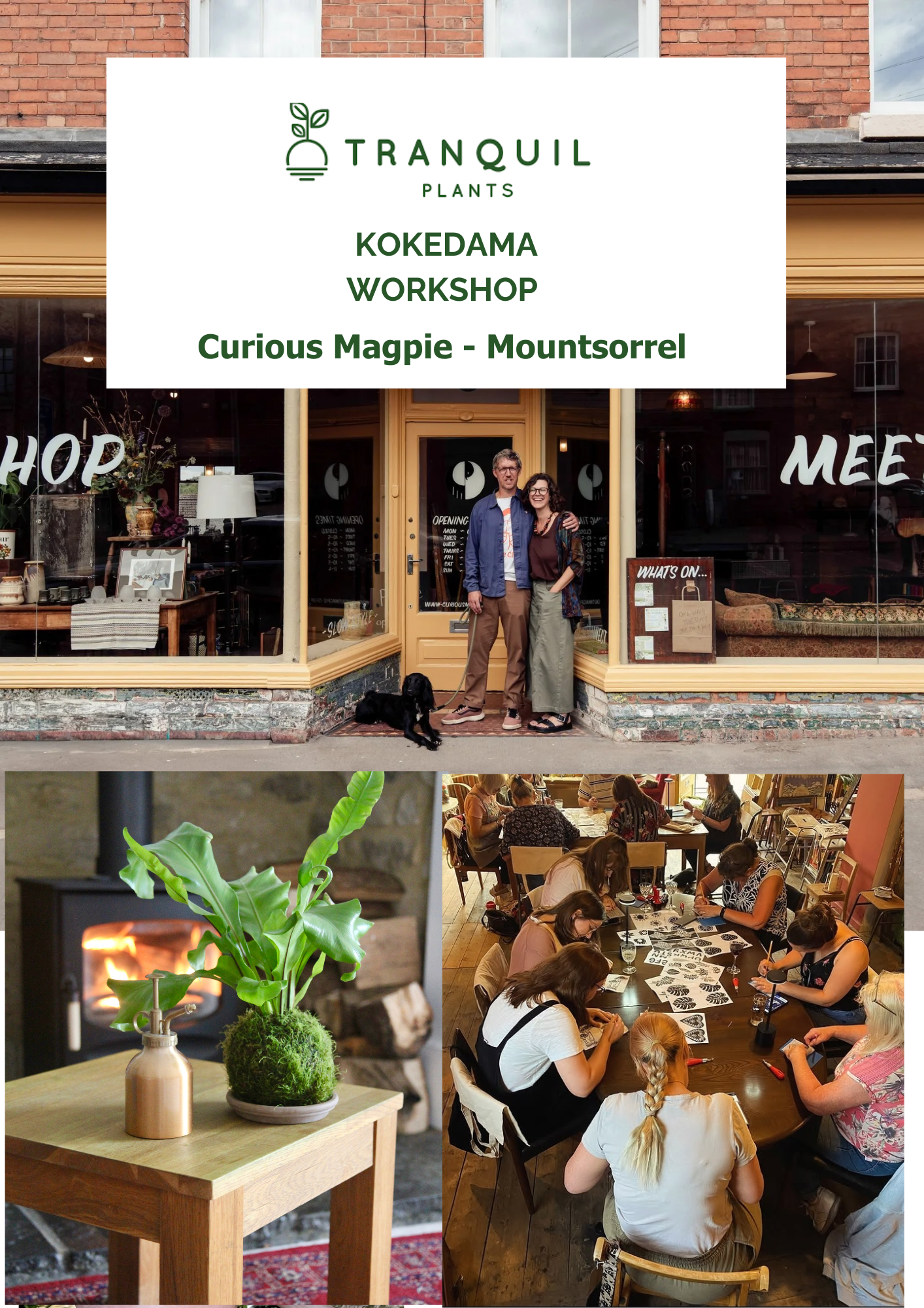 Kokedama Workshop at the CURIOUS MAGPIE - Mountsorrel - Wednesday 2nd September 2026