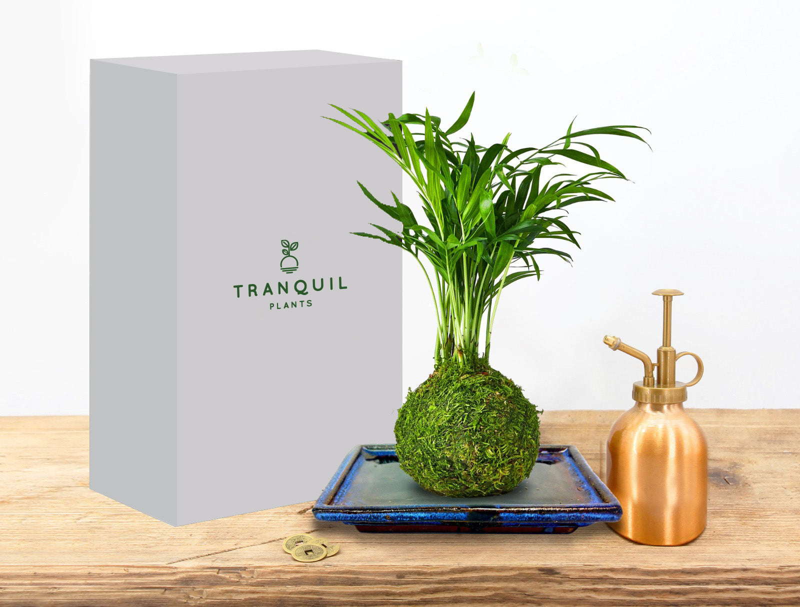 Tranquil Plants Corporate Plant Gifting Box in Grey with Copper Plant Spray Bottle and Parlour Palm Kokedama Houseplant