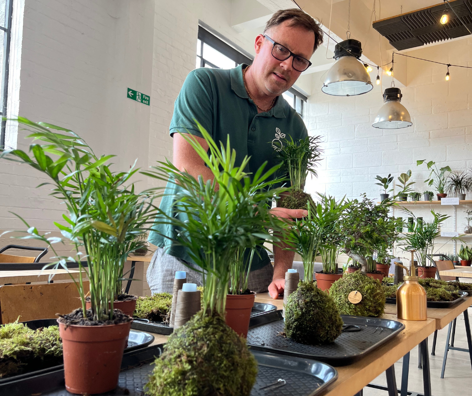 stefan thomas tranquil plants kokedama workshops