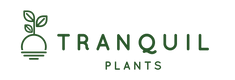 Tranquil Plants supply bonsai trees kokedama and fresh air plants