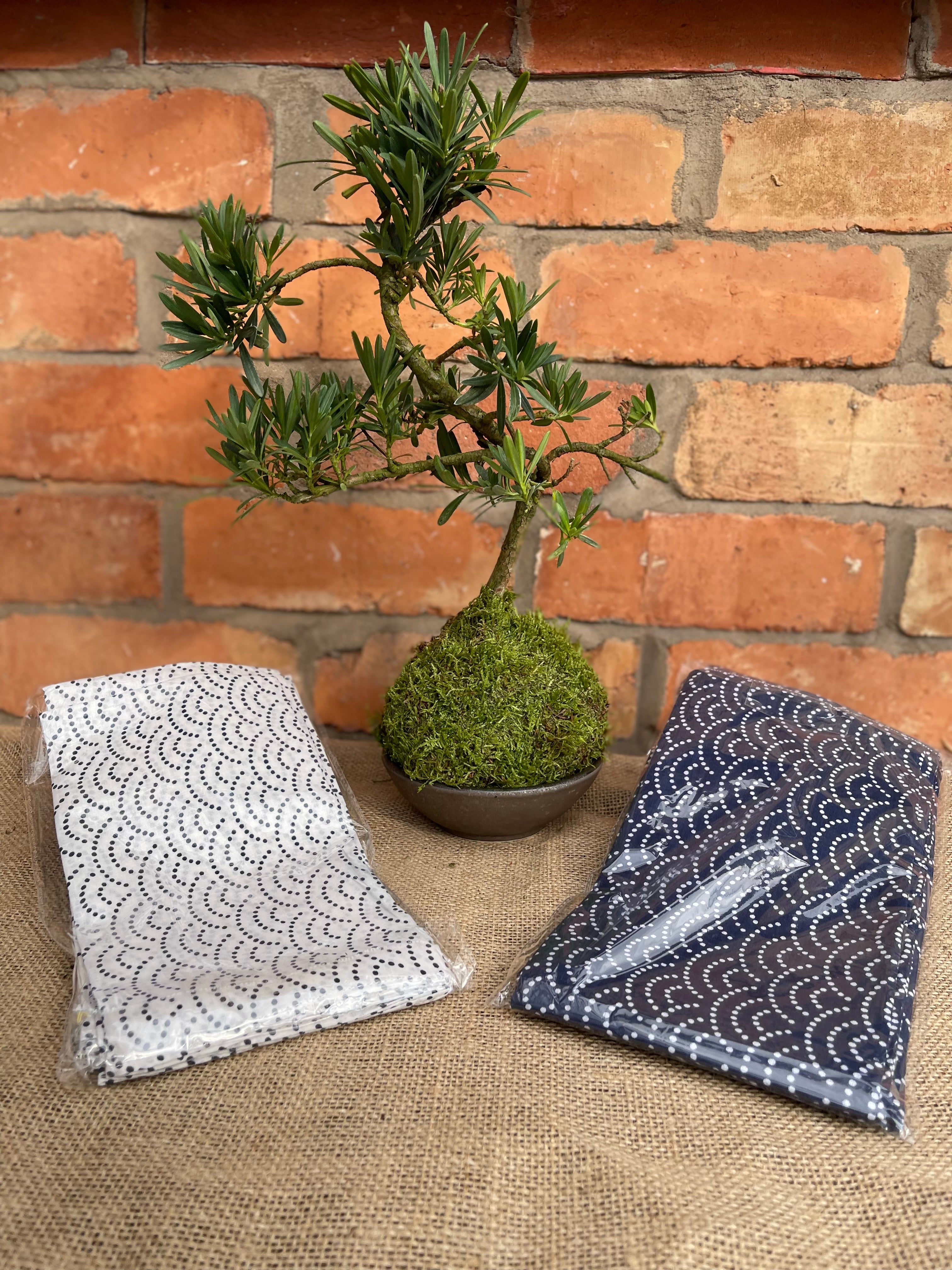 Kokedama Gift Wrap Cloth - Furoshiki