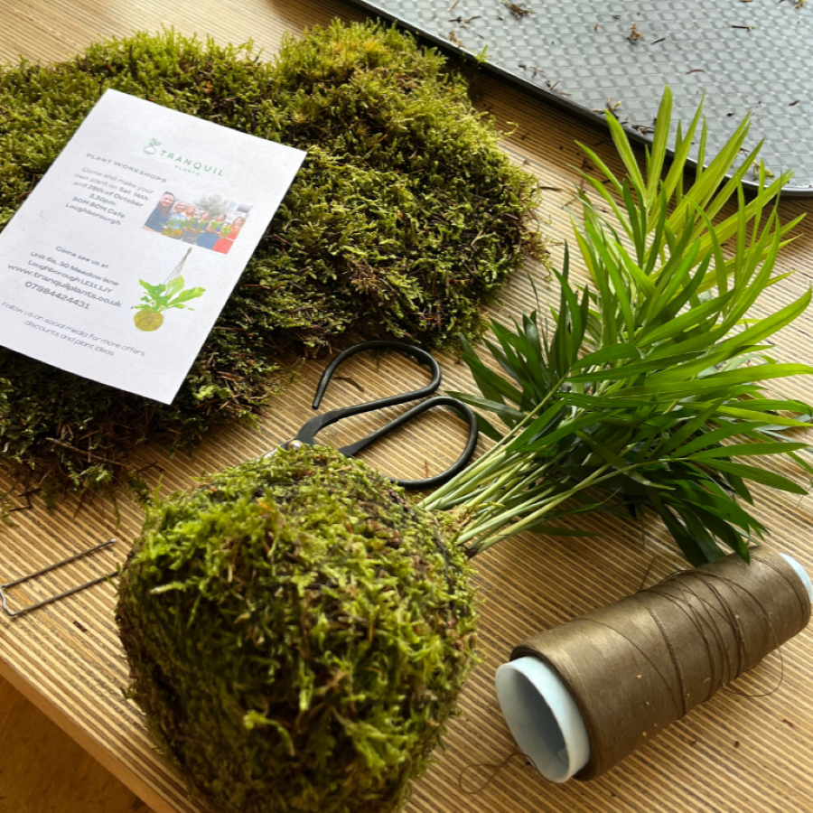 Mothers day Kokedama Moss Houseplant Workshop 15th March 2026 Loughborough -Bom Bom cafe UK