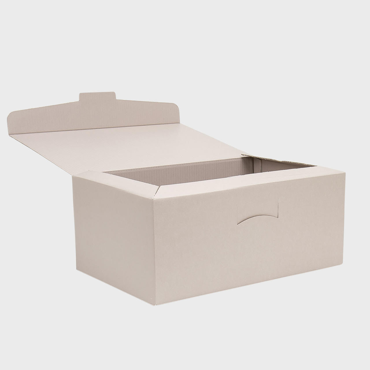 Corporate gift 20 pack - palm plant moss kokedama with tray copper spray bottle and deluxe box £36.99 each Tranquil Plants