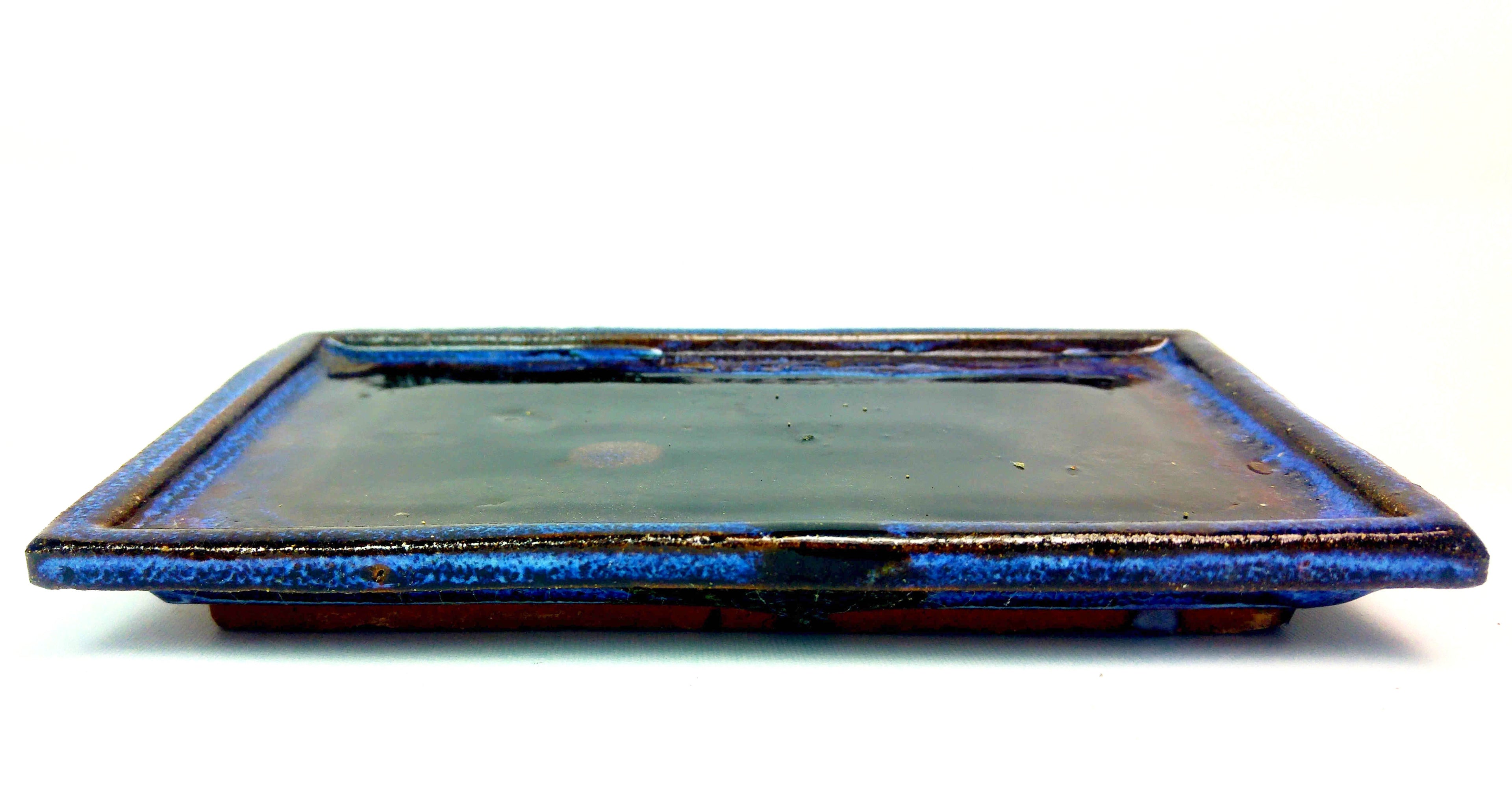 Corporate gift 20 pack - palm plant moss kokedama with tray copper spray bottle and deluxe box £36.99 each Tranquil Plants