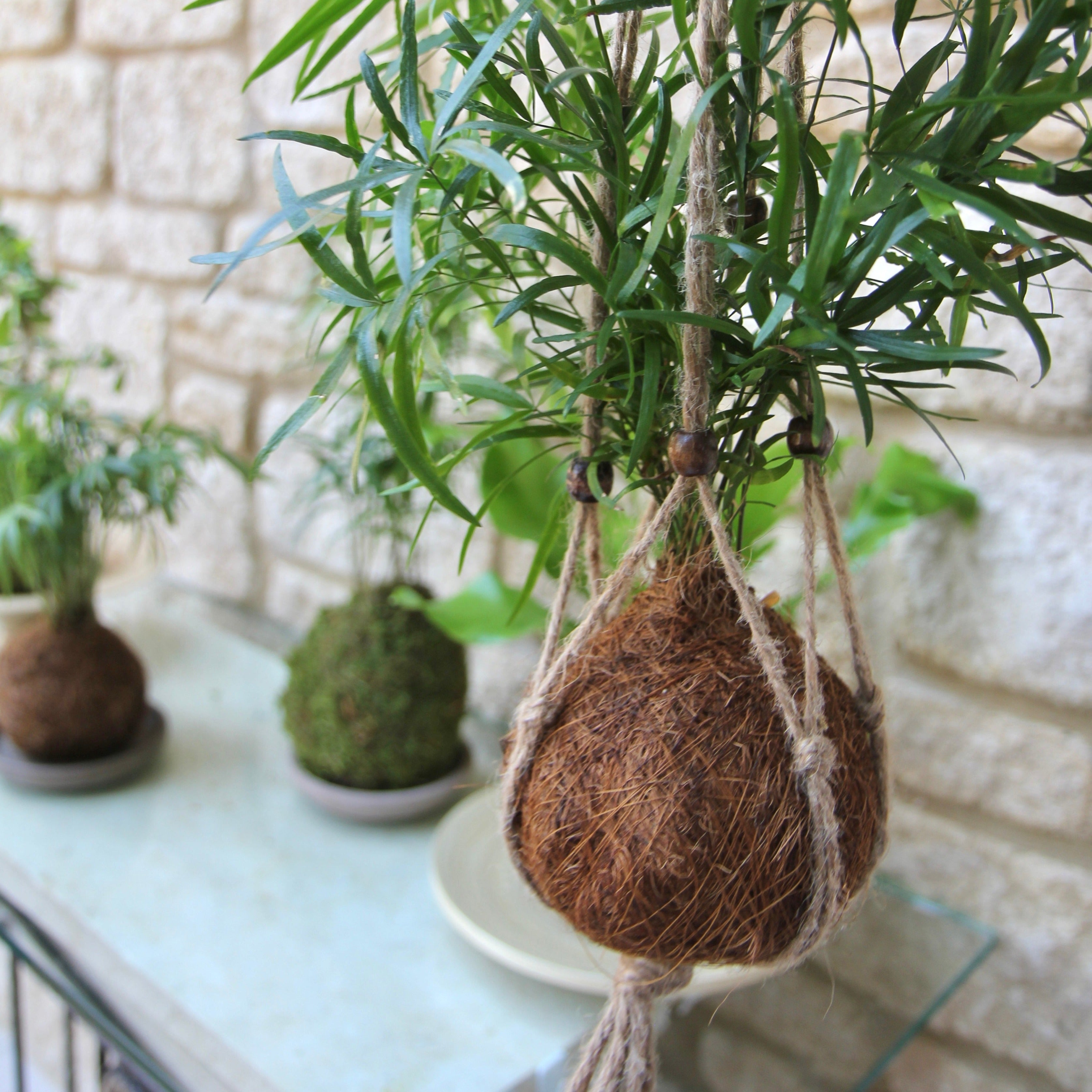 plant hanger jute twine hanging plants kokedama
