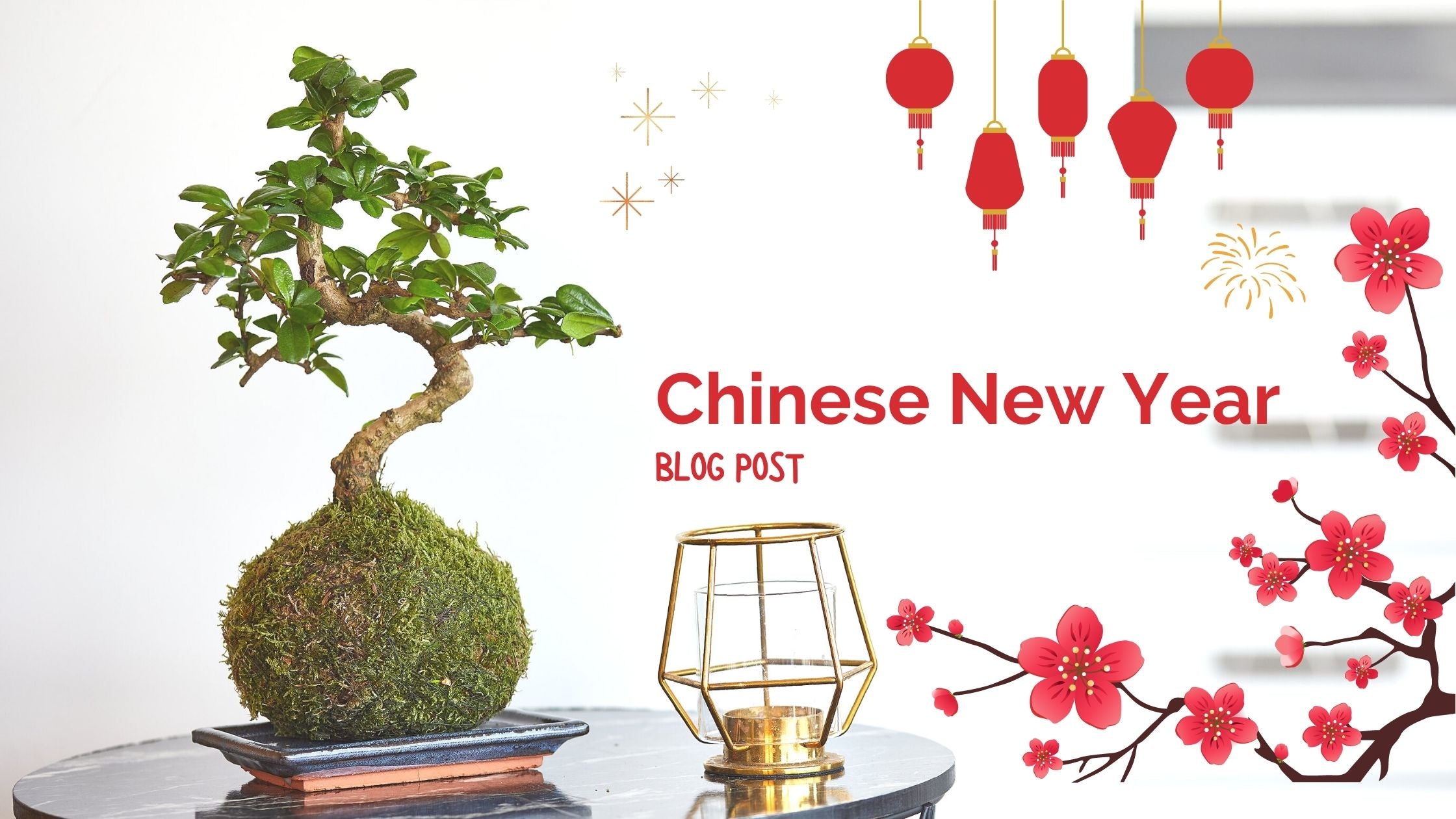 Bonsai and the Chinese New Year