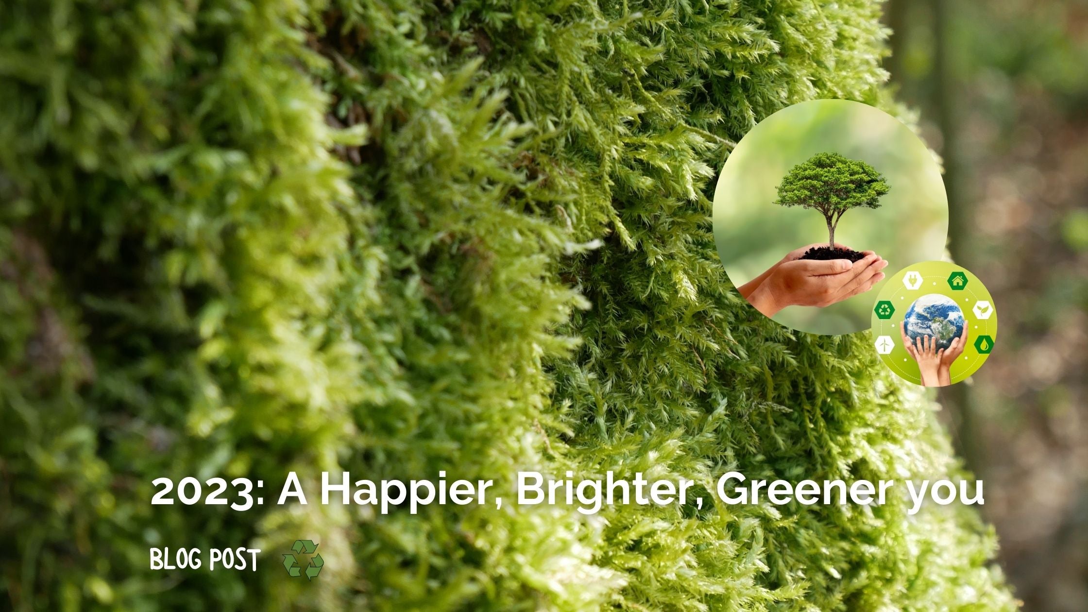 2023: A Happier, Brighter, Greener you