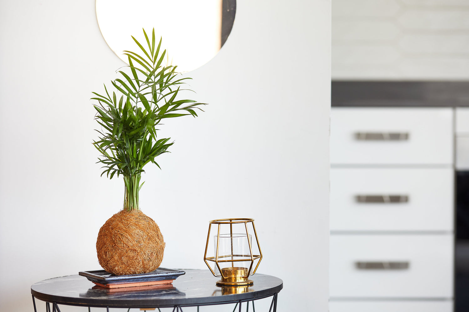 A Unique and Eco-Friendly Corporate Gift Idea