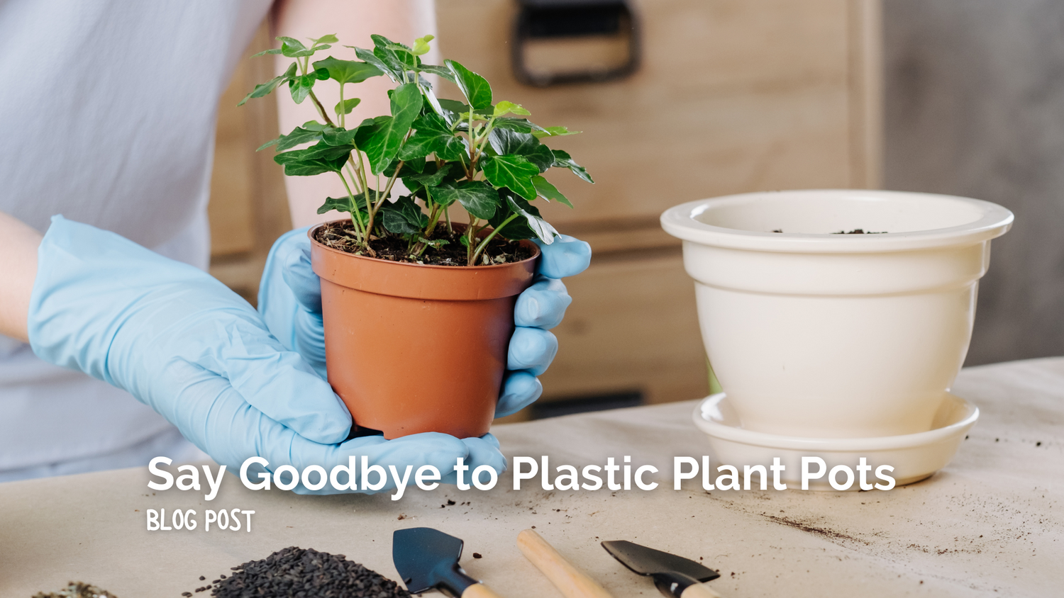 Say Goodbye to Plastic Plant Pots