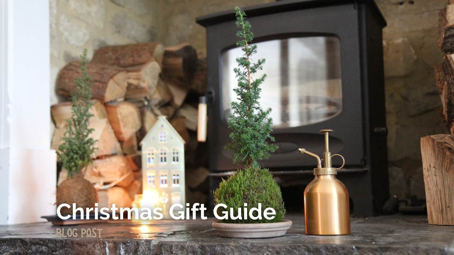 Christmas Gift Guide: Kokedama Plants