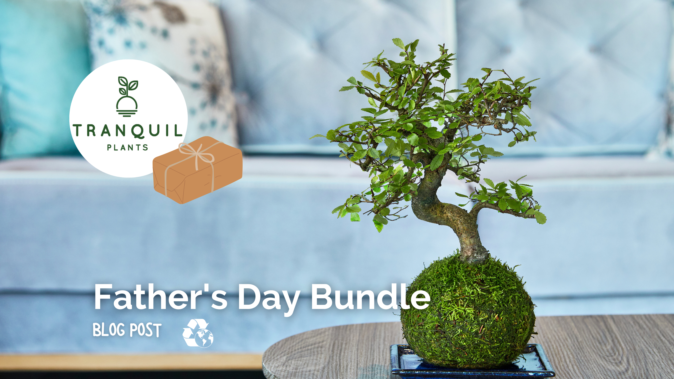 Father’s Day: A Sustainable, Easy-care Gift