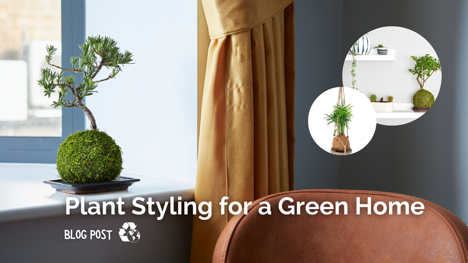 How to make a ‘Green’ Home with Plant Styling
