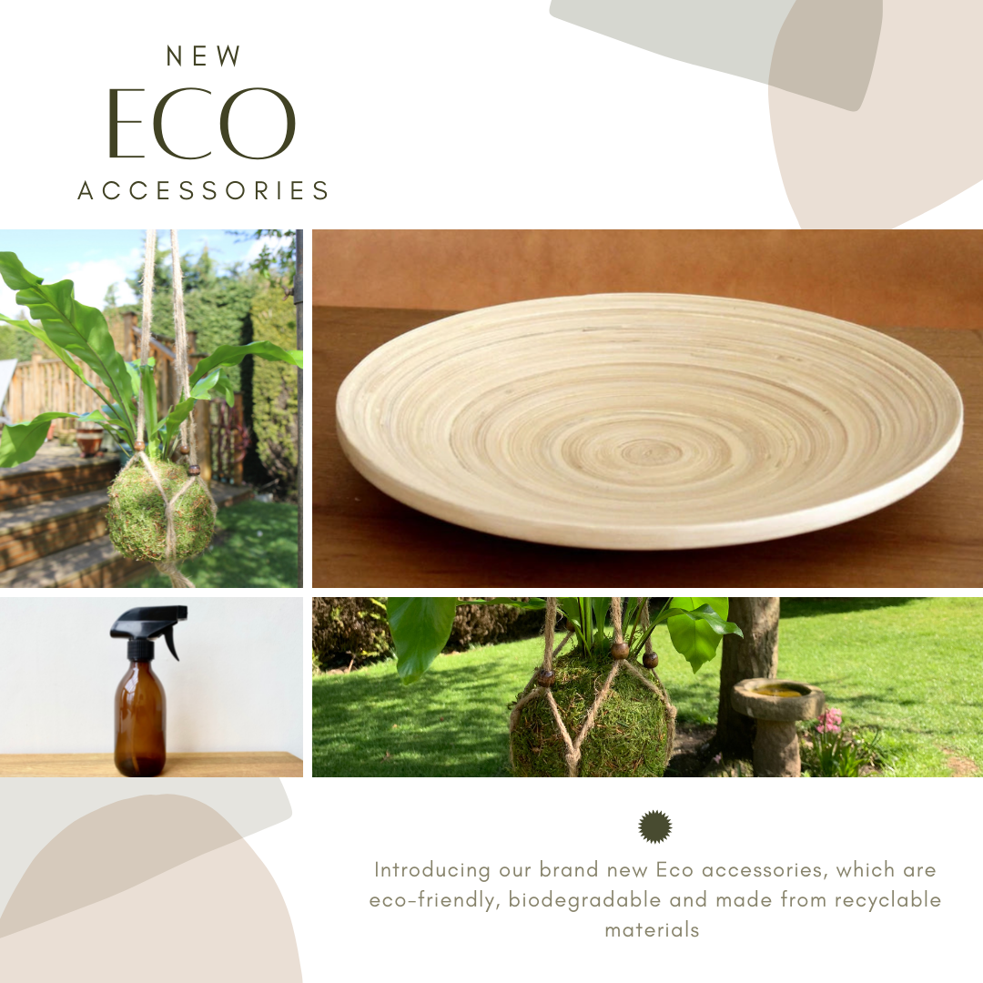 Celebrating Earth Day with our New Range of Eco-friendly Kokedama Accessories