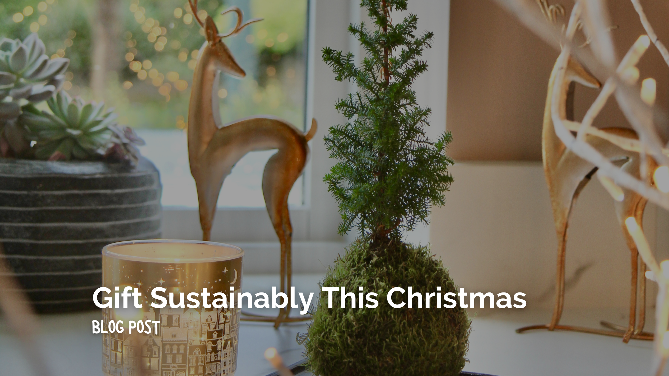 Gift Sustainably this Christmas with Handmade Kokedama Houseplants