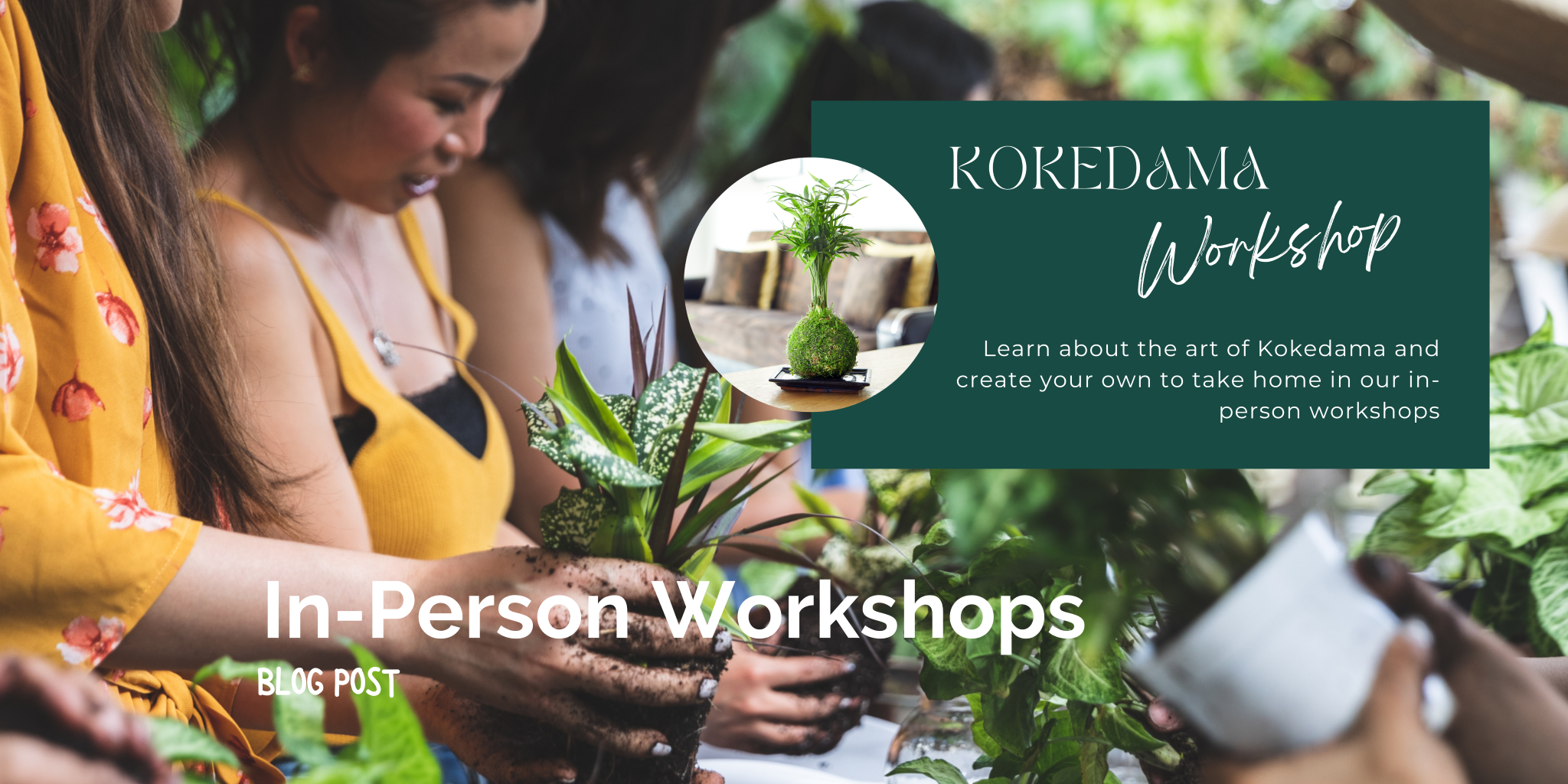 Kokedama Workshops: Team-building and Tranquility