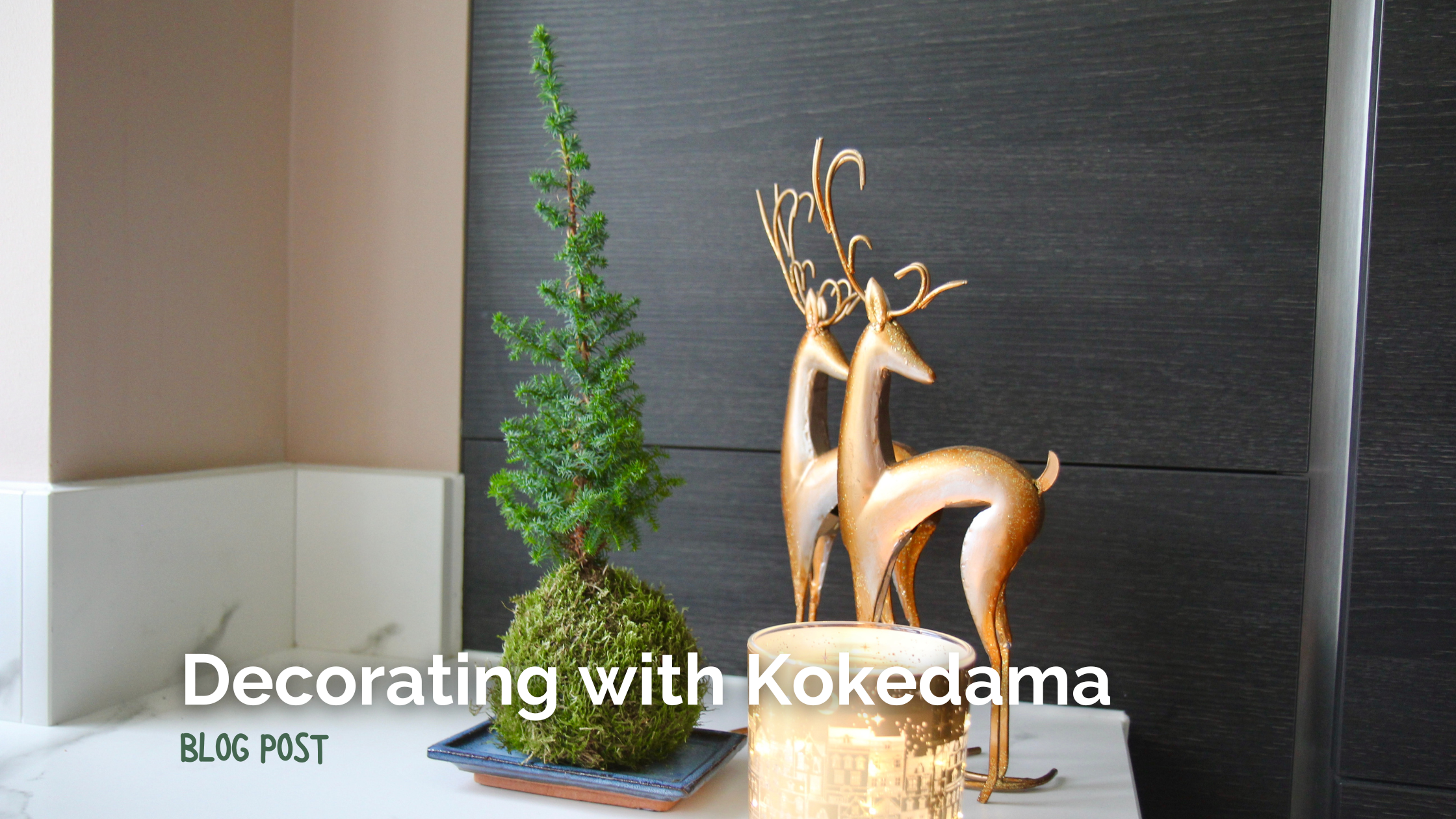 Decorating with Kokedama Plants this Christmas