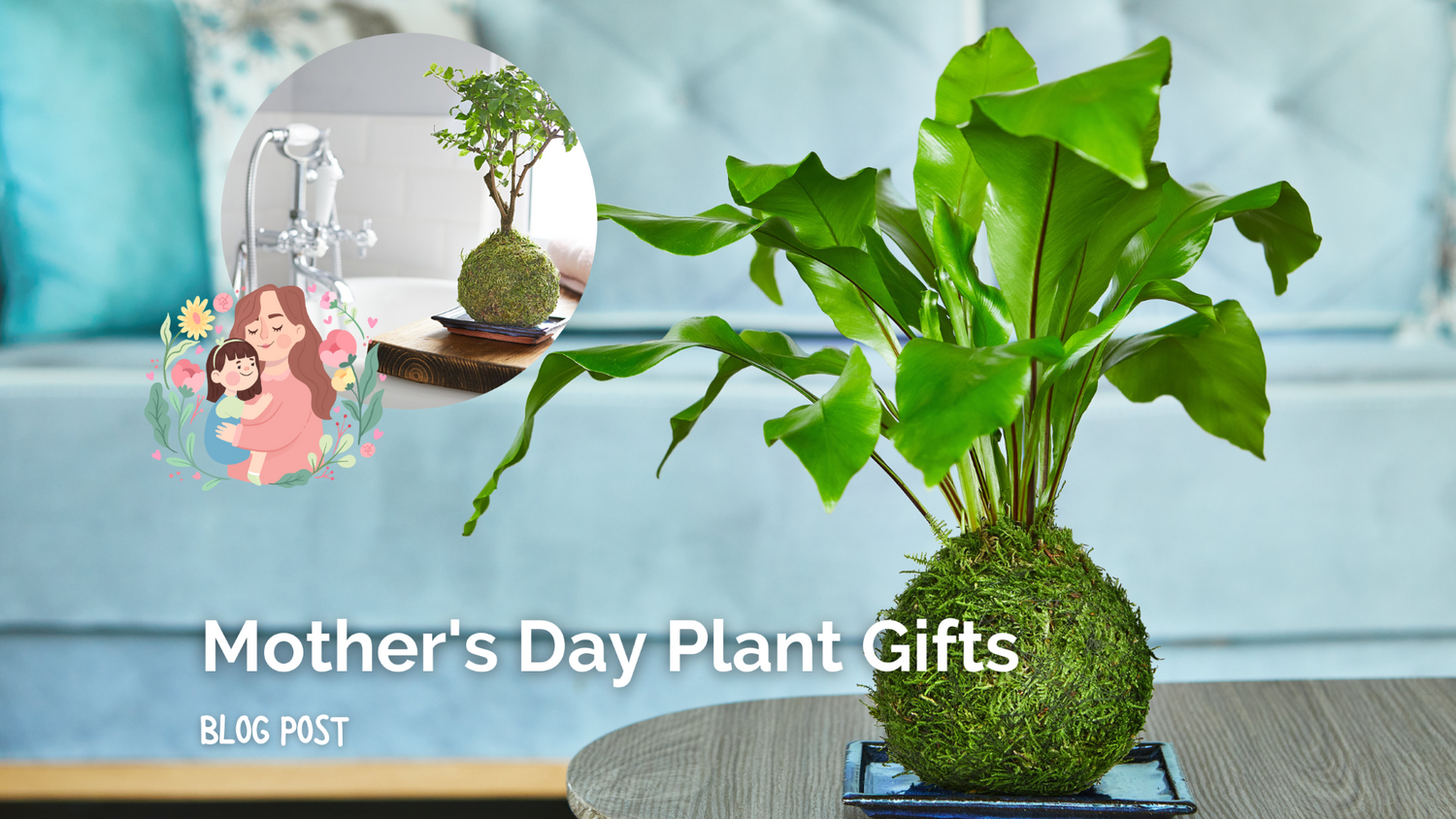 A Memorable Mother’s Day Gift: Little Plant to Big Plant