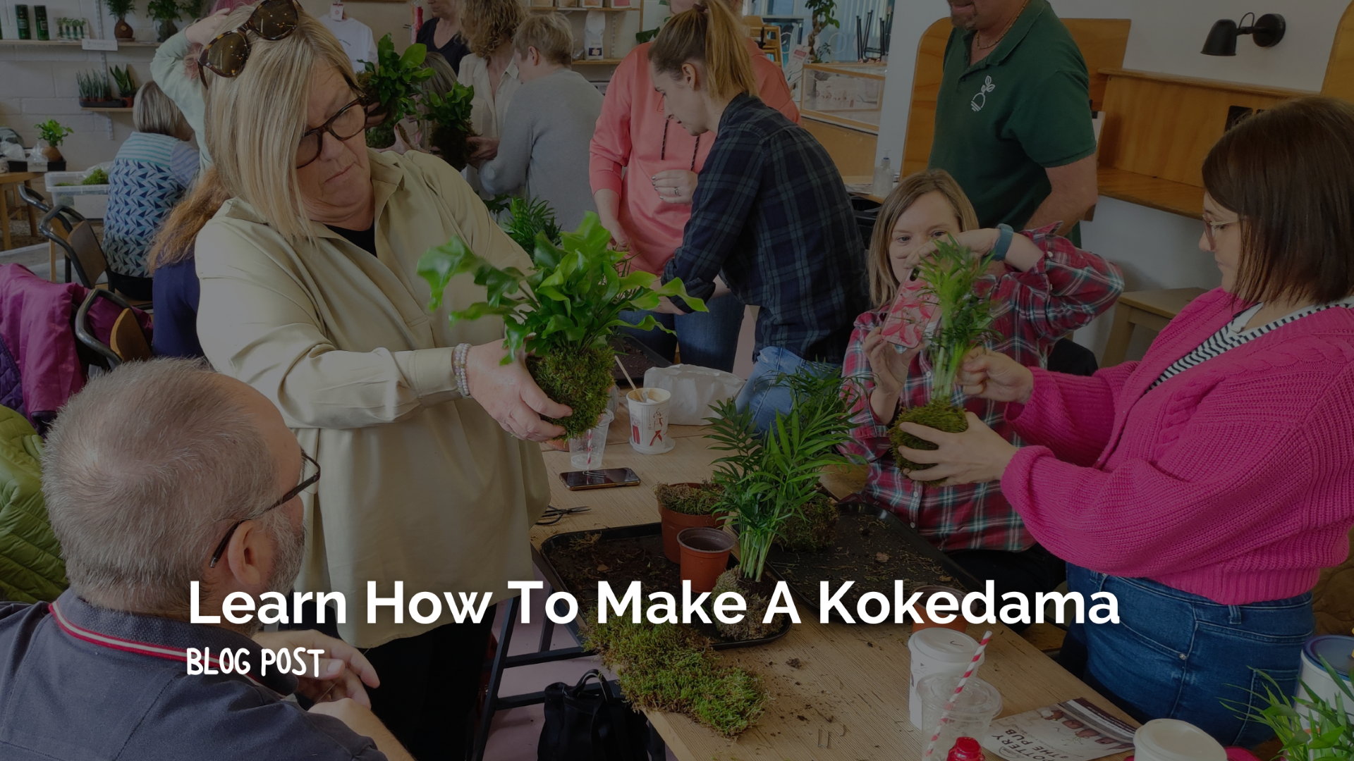Learn How to Make Your Own Kokedama Moss Ball Houseplant
