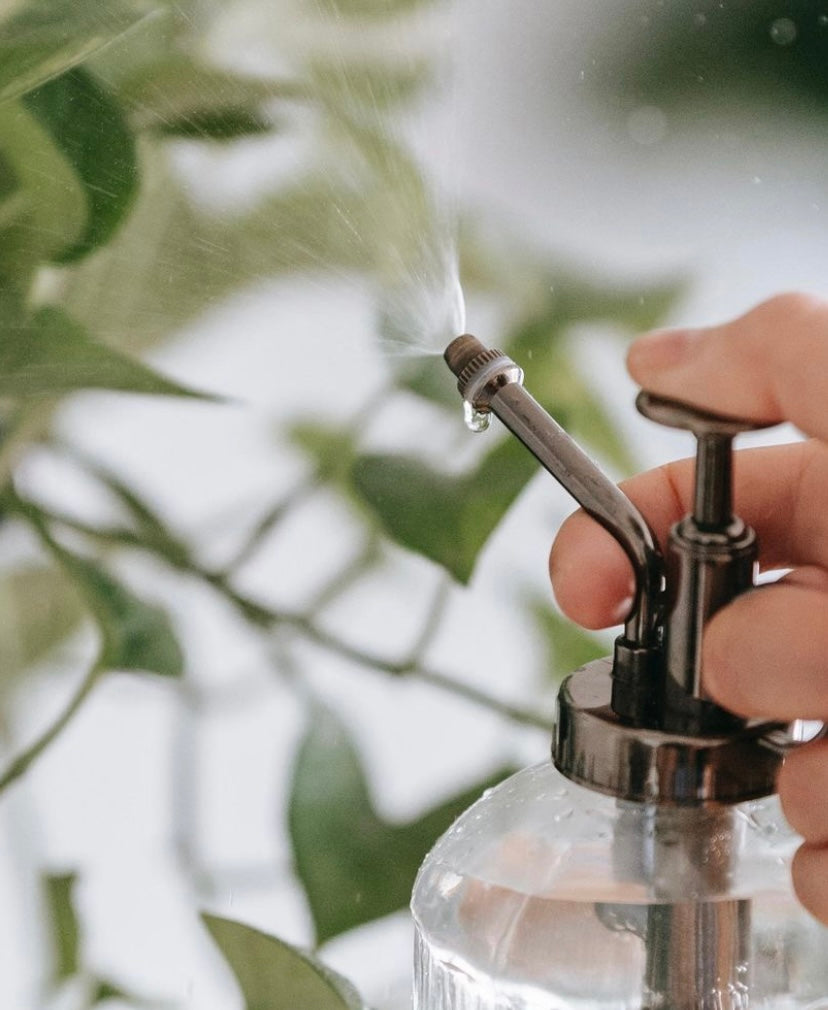 Plant Spray Bottles