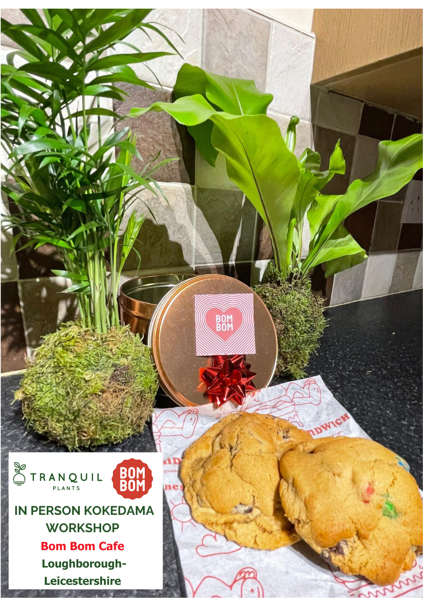 Mothers day Kokedama Moss Houseplant Workshop 15th March 2026 Loughborough -Bom Bom cafe UK