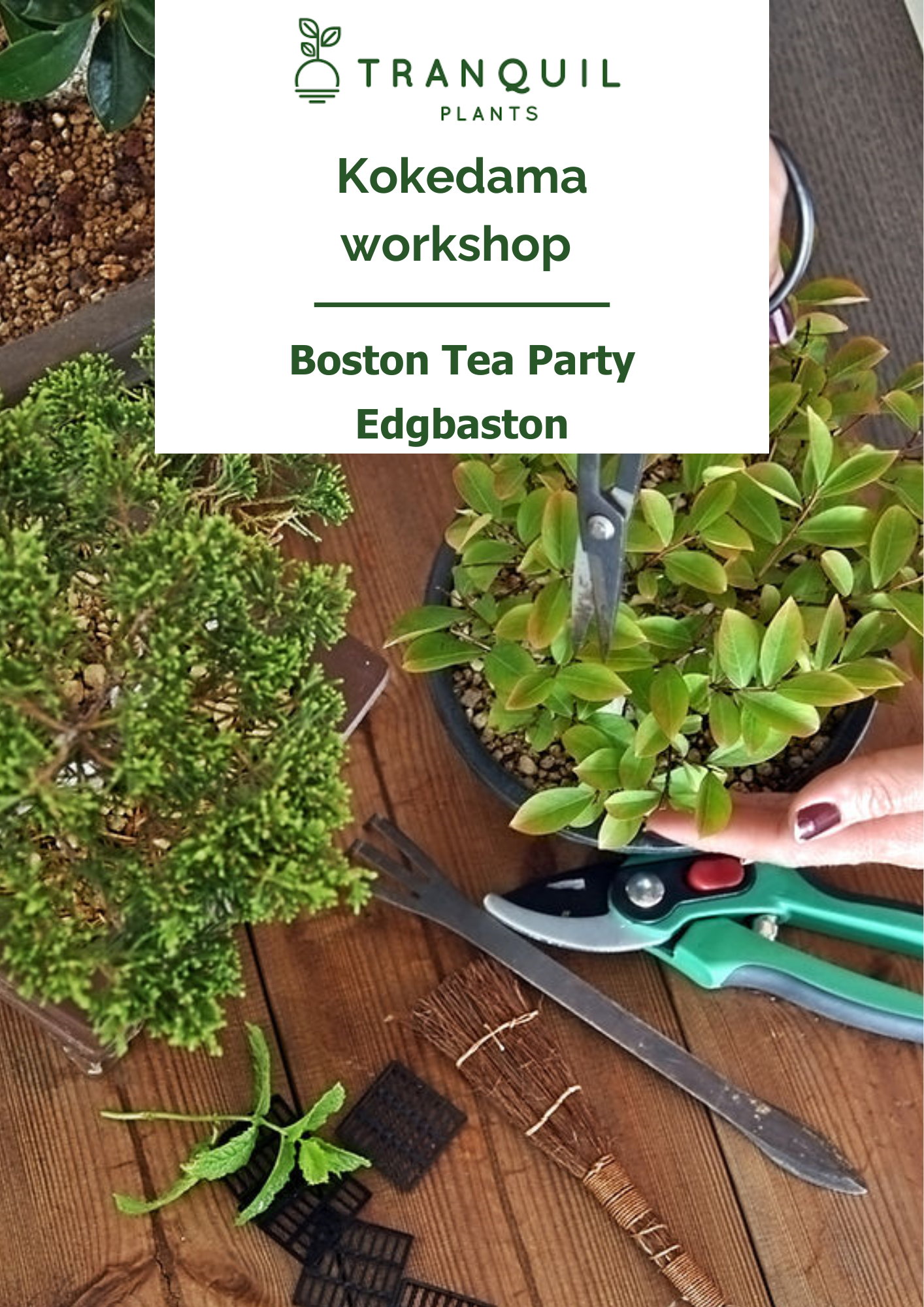 Kokedama workshop at Boston Tea Party Edgbaston