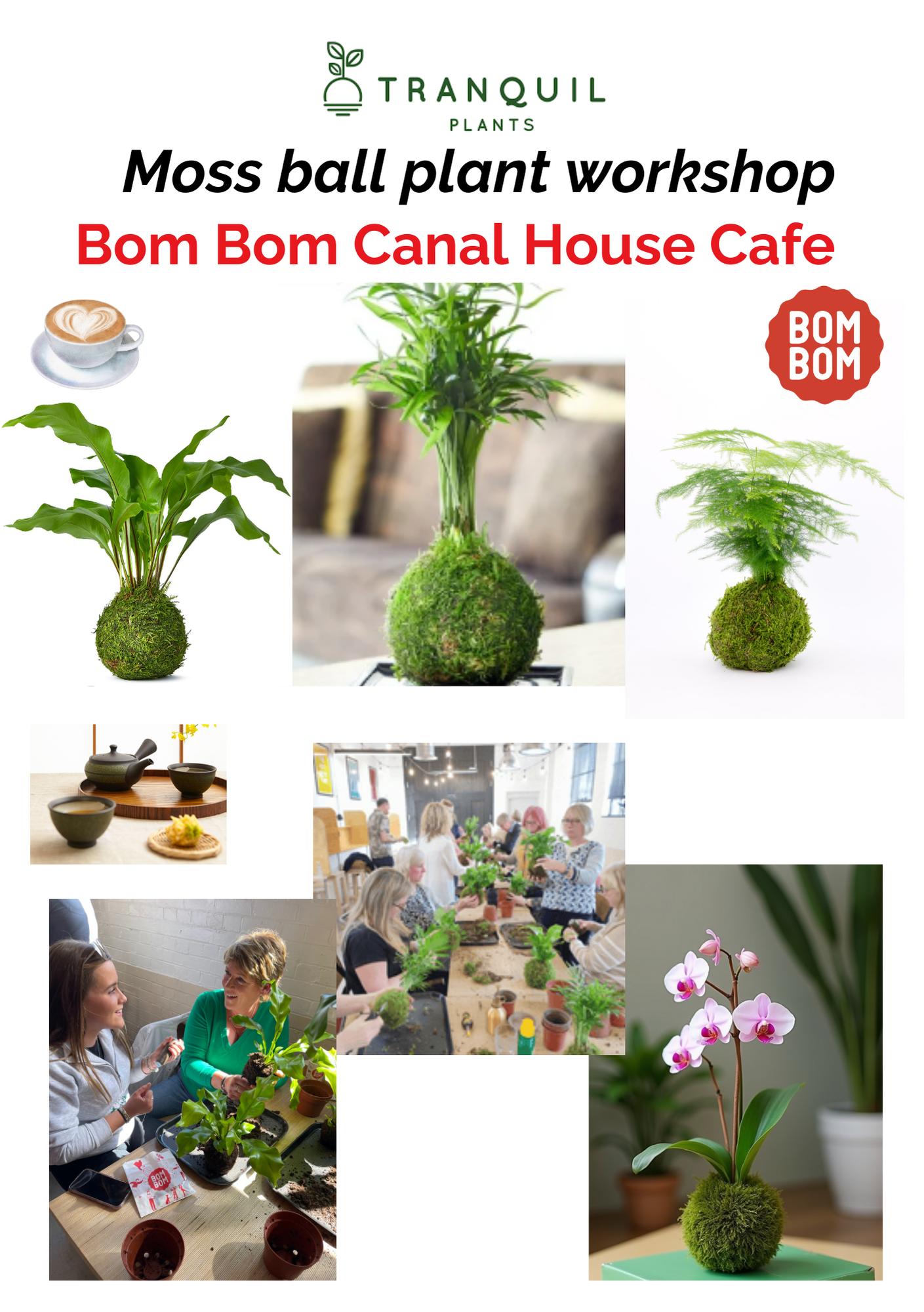 Japanese Kokedama Bonsai Moss Houseplant Workshop Loughborough -Bom Bom cafe UK