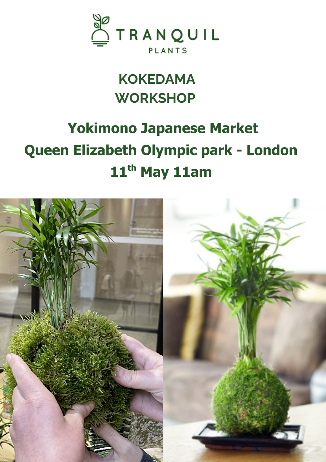 Kokedama Workshop at the Yokimono Japanese Market - 11th May