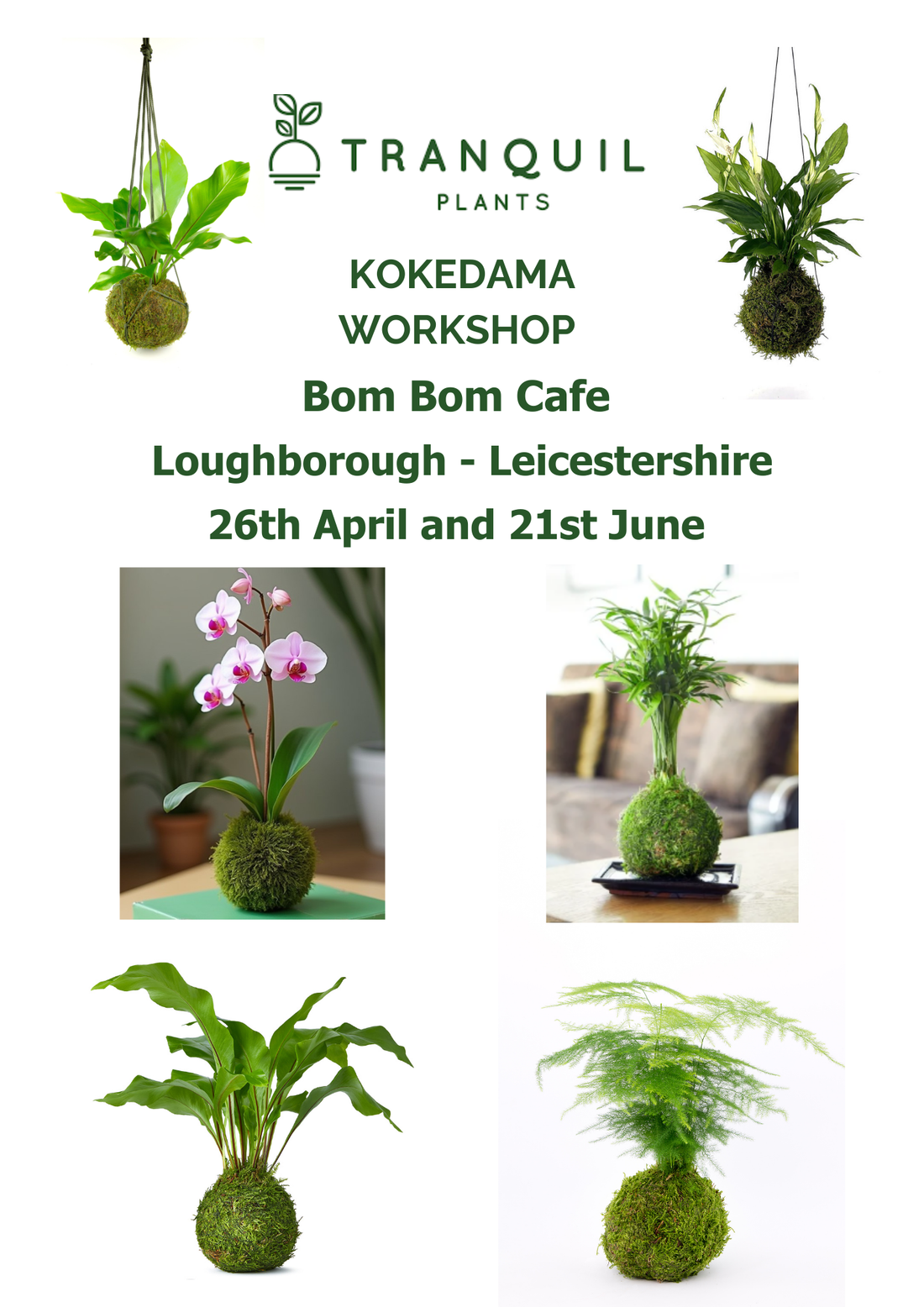 Kokedama workshop bom bom 26th April 21st June
