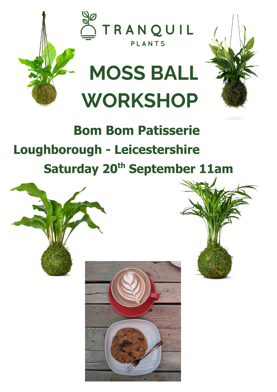 moss ball workshop 