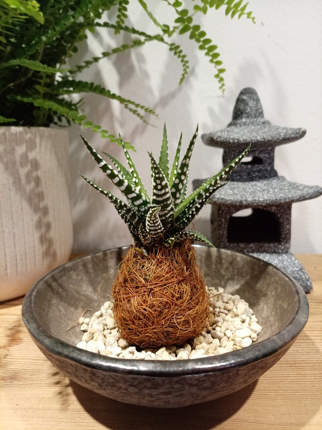 Little Wrapped Succulents: Single or Set of 3