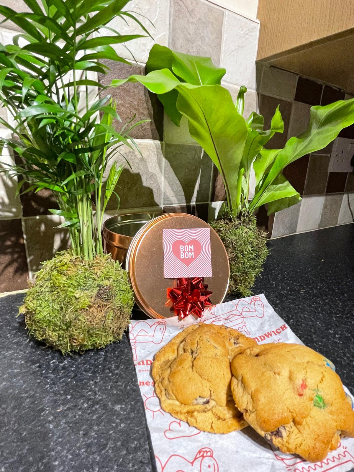 Mothers day Kokedama Moss Houseplant Workshop 15th March 2026 Loughborough -Bom Bom cafe UK