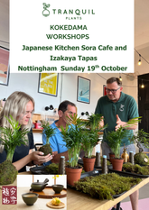 Kokedama workshop 19th October Notingham
