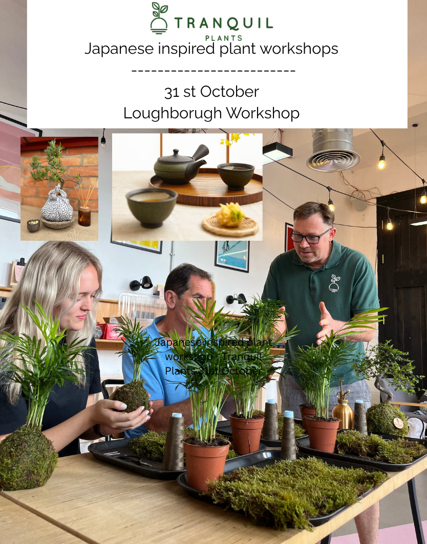 Japanese inspired plant workshop - Tranquil Plants 31st October