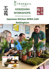 Kokedama Plant Workshops: Japanese Kitchen SORA cafe & Izakaya Tapas Tranquil Plants