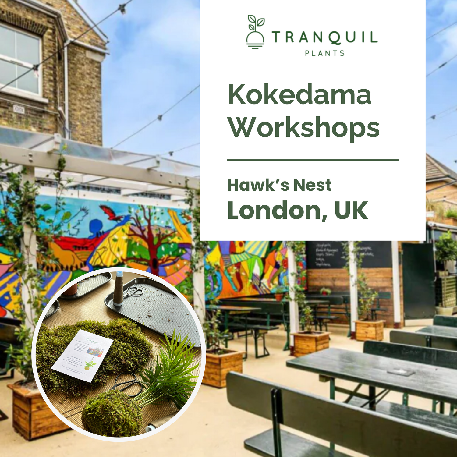 London Kokedama Plant Workshops at The Hawk&
