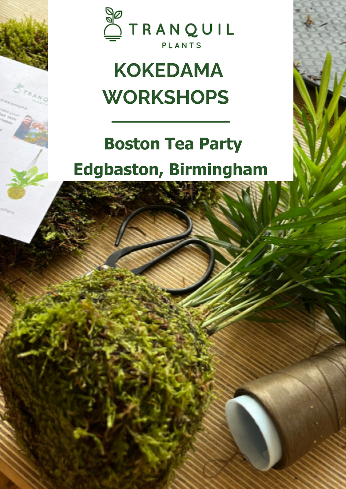 Poster for Boston tea party Kokedama, with an example palm wrapped in moss around its base