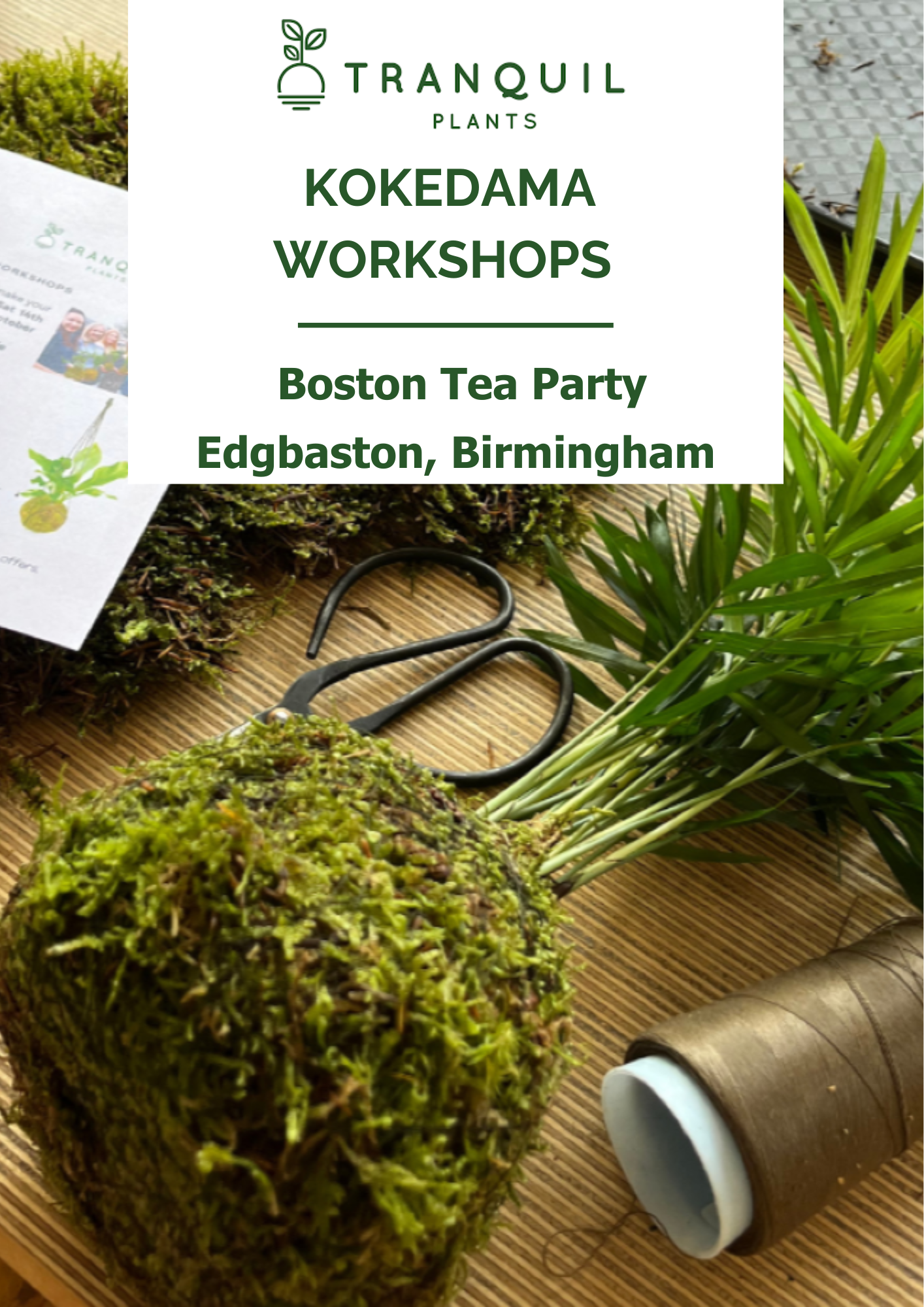 Poster for Boston tea party Kokedama, with an example palm wrapped in moss around its base