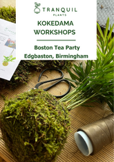 Poster for Boston tea party Kokedama, with an example palm wrapped in moss around its base