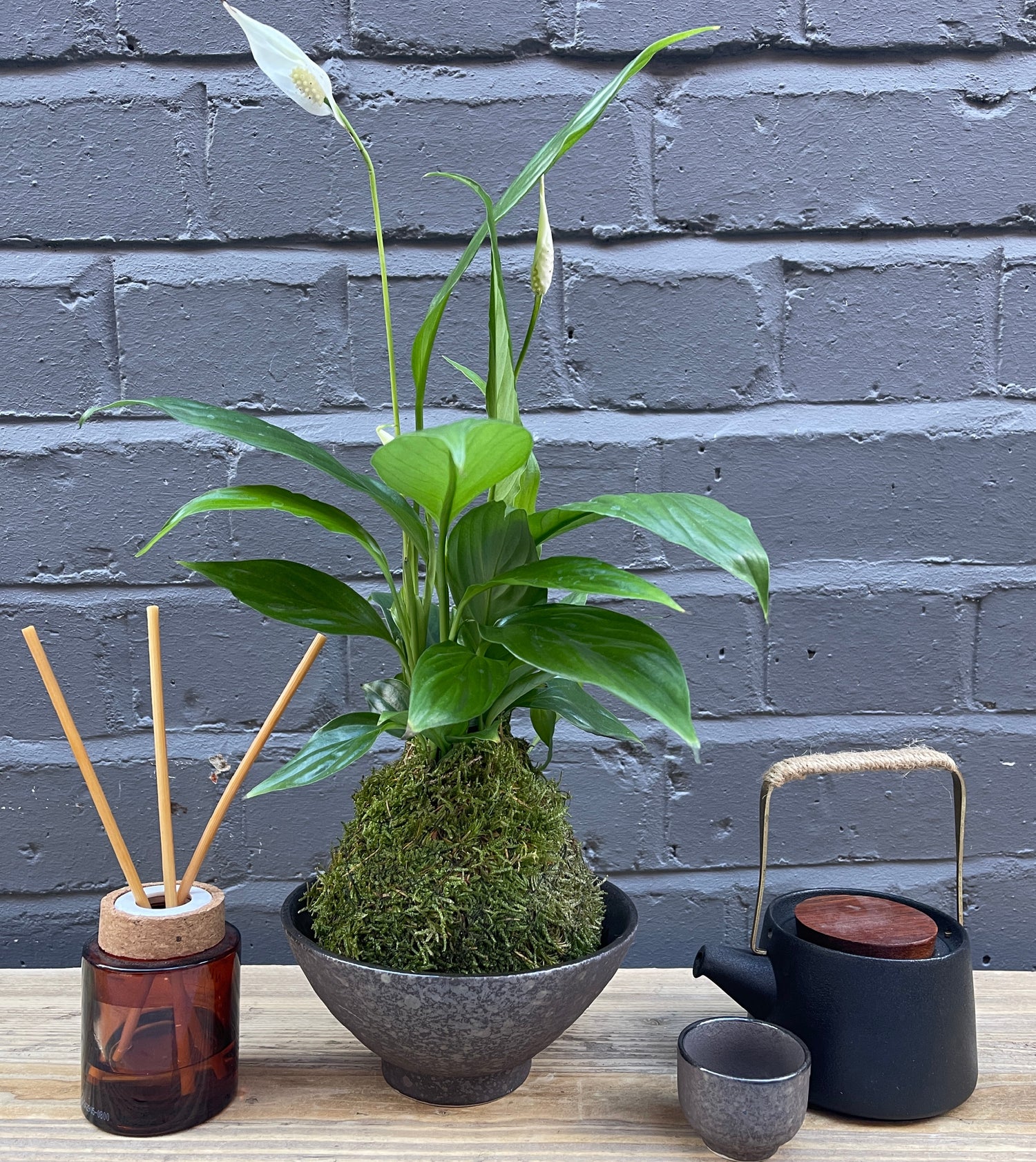 Peace lilly in bowl next to tea pot