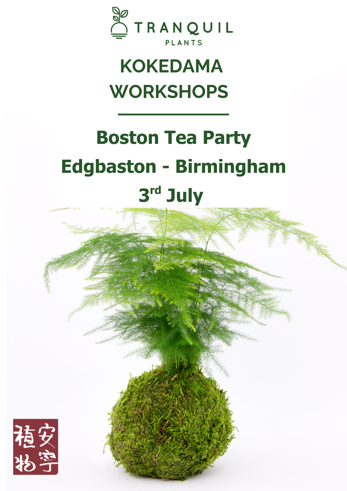Japanese Kokedama Bonsai Moss Houseplant Workshop - Boston Tea Party Edgbaston