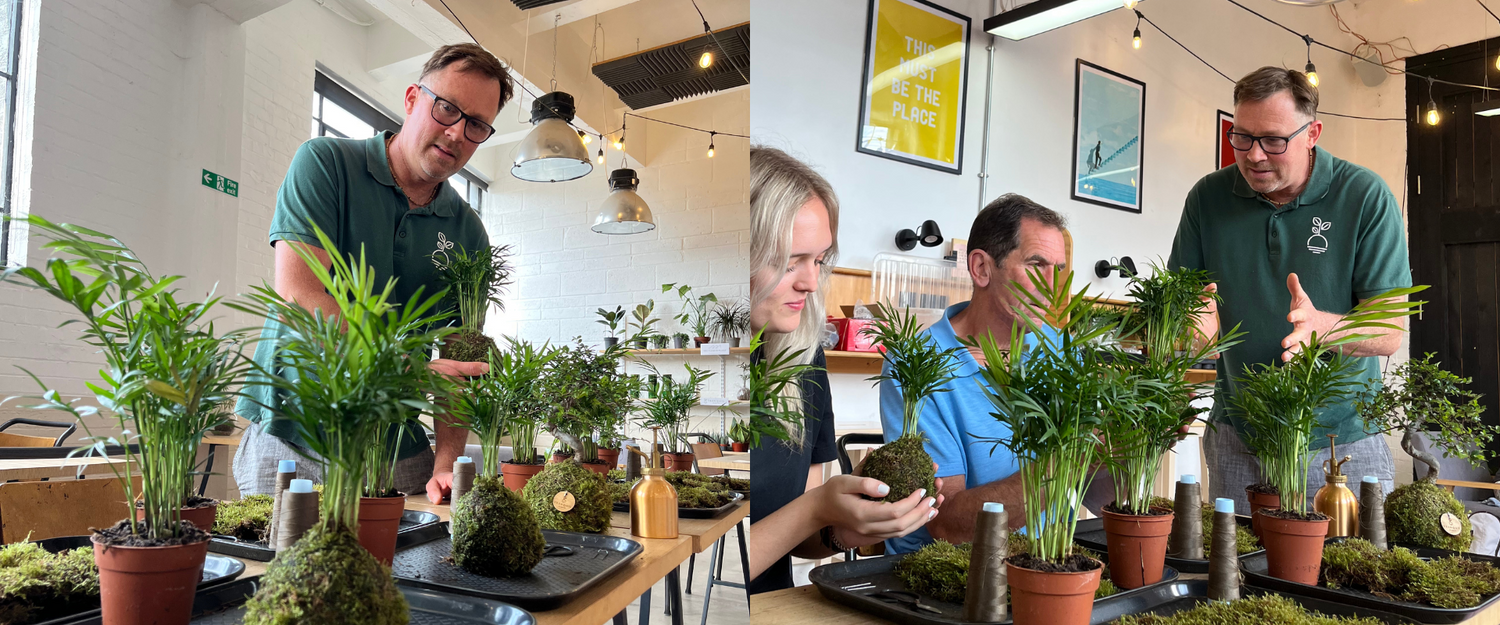 Kokedama workshops UK plant session team building session 
