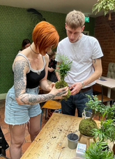 Two people, a man and a woman making  a palm wrapping moss around the base. 