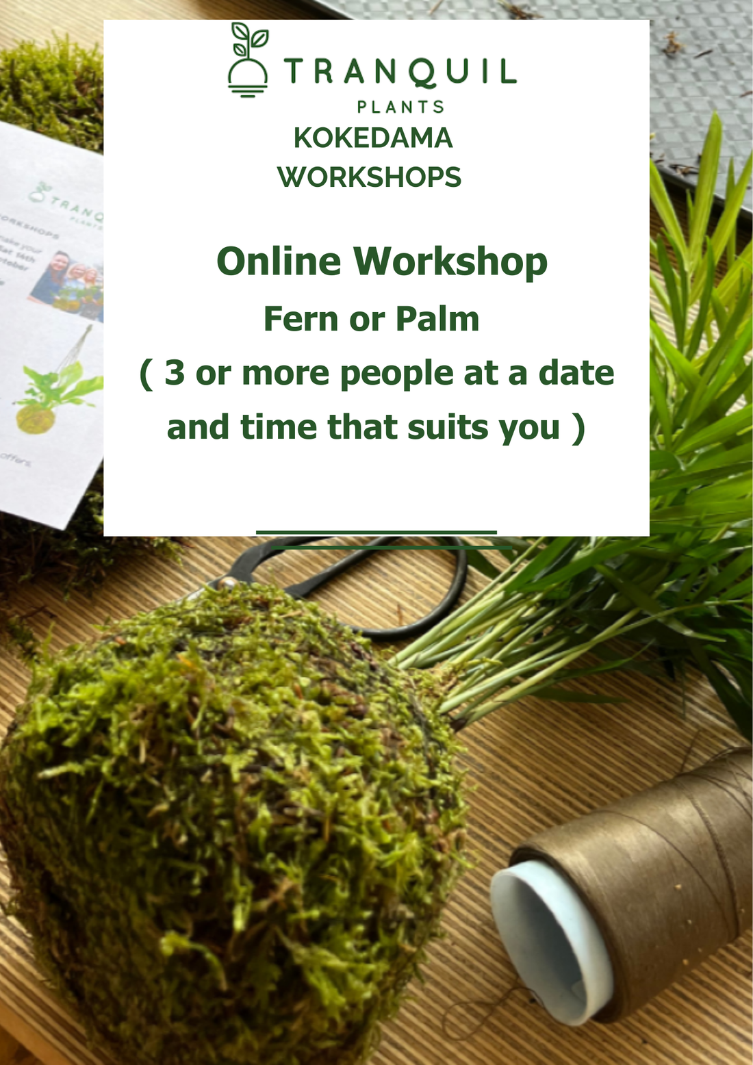 online kokedama workshop for 3 or more people