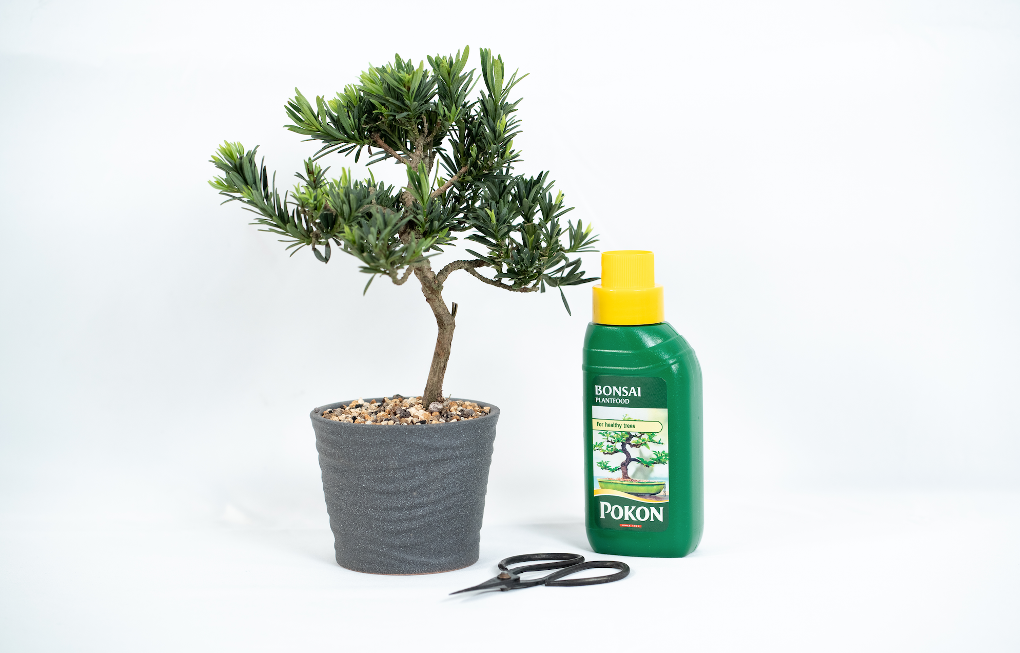 Bonsai Care Kit Tranquil Plants