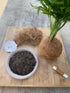 DIY Kokedama Kit | Coco-Fibre Wrap Kit Tranquil Plants
